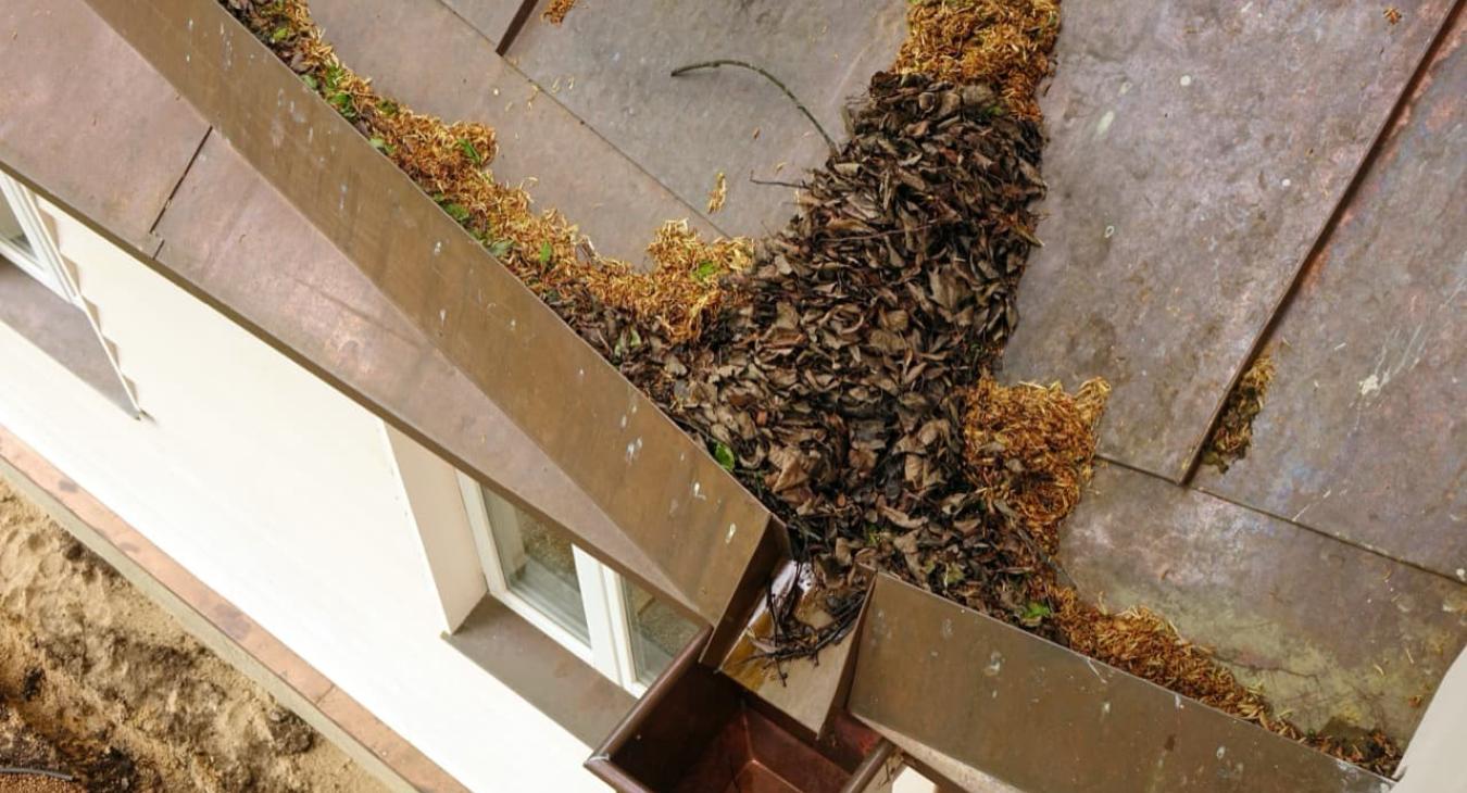 Nettoyage & Peinture hydrofuge de toiture 92 Hauts-de-Seine